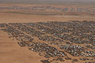 One of Darfur's massive refugee camps
